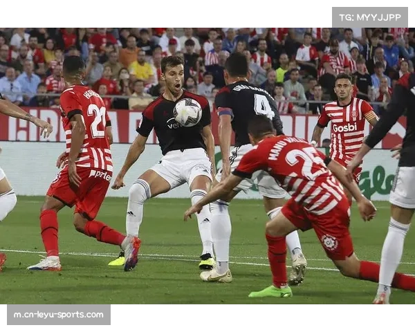 汉堡力求反弹再战沃尔夫斯堡 防线成胜负关键焦点 汉堡力求反弹再战沃尔夫斯堡 防线成胜负关键焦点